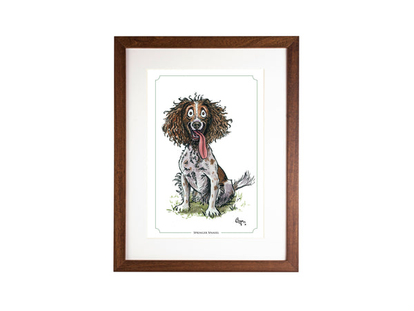 Springer Spaniel Bryn Parry Open Edition Print. Perfect for Dog Lovers