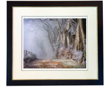 Frosty beech trees on Watership Down, framed limited edition print by Charles Sainsbury-Plaice, featuring double mount and blak and gold Italian frame.