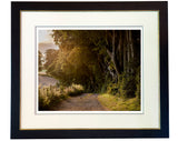Beech trees and ancient track on Ladle Hill in Hampshire, England. A framed limited edition photograph by Charles Sainsbury-Plaice.