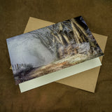 Countryside Greetings Frost Kissed Beech Trees A5 card features a UK-printed woodland photo of beech trees in mist, with an eco-friendly brown envelope.
