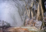 Capture a tranquil winter scene with the Frost Kissed Beech Trees A5 greeting card by Countryside Greetings, featuring a misty woodland path among frosty beech trees. Photographic image, printed in the UK—ideal for nature lovers and eco-conscious greetings.