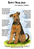 The Airedale Terrier Dog Greeting Card by Dick Twinney from Countryside Greetings features a hand-drawn brown and black terrier with traits and suitability as a companion and guard dog, set against a grassy background.