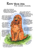 Cocker Spaniel Dog Greeting Card by Dick Twinney