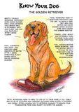 Dick Twinney's "Know Your Dog" Golden Retriever Greeting Card - Celebrate the Beloved Breed with Style