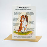 Countryside Greetings presents Dick Twinneys Know Your Dog Cavalier King Charles Spaniel Greeting Card, celebrating this charming breed with illustrated details and handwritten notes on its family-friendly traits.