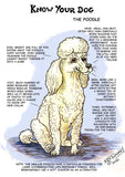 The Know Your Dog Poodle Greeting Card by Dick Twinney, from Countryside Greetings, showcases a cream-colored poodle with witty notes on traits and grooming—ideal for poodle fans or as a charming card in Twinney’s whimsical style.