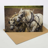 The CountrysideGreetings Heavy Horse Greeting Card (A5, folded) features a stunning draft horse scene by Charles Sainsbury-Plaice—an ideal choice for any equine enthusiast.