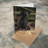 The Countryside Greetings Black Labrador Dog Greeting Card (A5) features a puppy on a hay bale, with rustic photography by Charles Sainsbury-Plaice. Eco-friendly and UK printed, it comes propped on a brown envelope.