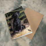 The Countryside Greetings Black Labrador Dog Greeting Card (A5), printed in the UK and eco-friendly, features photography by Charles Sainsbury-Plaice of a puppy on a hay bale. Includes brown envelope.