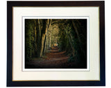 A framed photograph from CountrysideGreetings Ancient Hampshire track limited editions features a tree-lined path covered in leaves, with tall trees forming an arched tunnel effect along the path.