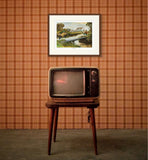 A vintage TV sits on a wooden stand against brown plaid wallpaper, with a framed Fly Fishing Print. Tightlines by Thelwell from Countryside Greetings hanging above it.