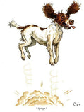 springer spaniel cartoon