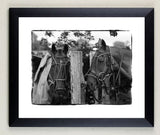 Black-and-white Polo and horse limited edition print. Between Chukkas by Charles Sainsbury-Plaice from Countryside Greetings. Features two saddled horses in a rural scene, framed in black—a striking choice for country sports art fans.