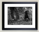 The Cocker Trial by Charles Sainsbury-Plaice is a limited edition black-and-white print from Countryside Greetings, featuring a Cocker Spaniel on a leash outdoors. Ideal for sporting interiors and beautifully framed in classic black.