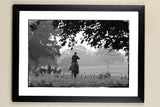 The Hunting, horse and hound limited edition framed print, Autumn Hunting by Charles Sainsbury-Plaice from Countryside Greetings, features a striking black-and-white scene of a rider with dogs in a misty field.
