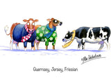 The Countryside Greetings Farm Animal Greeting Card multipack includes 12 assorted Alex Underdown cartoons, featuring Guernsey, Jersey, and Friesian cows in winter attire—perfect for farm animal lovers.