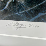 Close-up of a CountrysideGreetings limited edition Barbel fishing print by M J Pledger, showing a pencil signature and “9/250” on the border. The artwork’s edge displays textured dark colors with light lines.