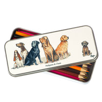 Dog cartoon pencil tin and 12 colouring pencils. Pedigrees and Chum by Bryn Parry
