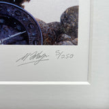 Common Bream fishing print by M J Pledger