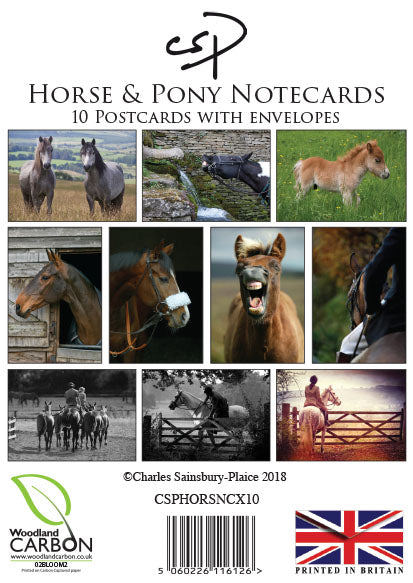 horse and pony notecard multipack cover image showing 10 horse and pony images