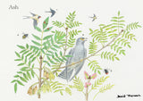 British Trees and Wildlife Greeting Card Multipack by David Thelwell