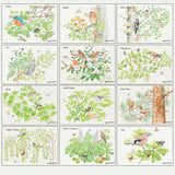 British Trees and Wildlife Greeting Card Multipack by David Thelwell