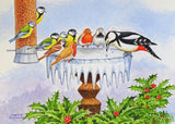 Cartoon Reindeer and Bird Christmas Card Pack by David Thelwell