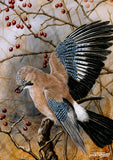Beautiful British Birds greeting card Multipack