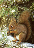 Nature and wildlife greeting card assorted multipack