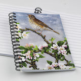 Bird themed A6 lined notebook. Thrush by Dick Twinney