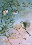 A pair of long-tailed tits flit through bare winter branches, their soft pink tones and feathery tails adding charm and movement to this serene, pastel-hued scene.