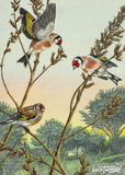 Two goldfinches perch gracefully among the branches at dusk, joined by a sparrow. The soft sunset glow adds warmth and harmony to this gentle rural scene.