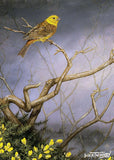 Perched high on twisting bare branches, the yellowhammer surveys a late winter landscape. Its bright yellow feathers stand out vividly against the misty purple sky.