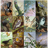 A collection of 12 beautifully illustrated notecards featuring British garden and woodland birds by wildlife artist Dick Twinney. Each notecard showcases a different bird species in its natural setting, including a jay, green woodpecker, long-tailed tits, blue tit, goldcrest, lesser spotted woodpecker, goldfinches, house sparrow, blackbird, robin, song thrush, and yellowhammer. The illustrations are rich in detail and colour, capturing the charm and character of each bird with lifelike accuracy.