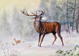 Wildlife Christmas Card Pack by Dick Twinney