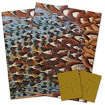 Pheasant feather wrapping paper