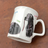 Express your love with the CountrysideGreetings Labrador Mug—exquisite bone china featuring Bryn Parry’s captivating Black Labradors: Lazy sleeping on one side, Lovable pup with leash and Sorry text on a brown surface on the other.