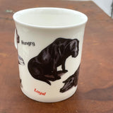 The CountrysideGreetings Express Your Love with 1 x Labrador Mug features Bryn Parry’s charming Black Labradors and words Hungry & Loyal on exquisite bone china—a perfect gift for dog lovers.