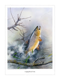 The Leaping Brown Trout fishing print by M J Pledger from CountrysideGreetings shows a trout jumping near a branch, chasing a lure amid splashing water and green plants—a vibrant scene ideal as a fishing gift for nature lovers.