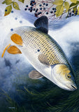 A golden-finned, silver-scaled British freshwater fish swims below green plants and branches in this CountrysideGreetings notecard set, “10 British freshwater fish notecards by M J Pledger,” illustrated in the style of Maurice J Pledger.
