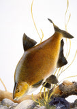 A golden-brown freshwater fish swims near rocks and plants beside a partially buried round metal object, evoking CountrysideGreetings’ 10 British freshwater fish notecards by M J Pledger.