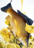 A realistic illustration from 10 British freshwater fish notecards by M J Pledger (CountrysideGreetings) shows a brown and gold fish with detailed scales and fins swimming among yellow ginkgo leaves on a white background.