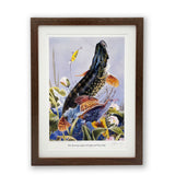 pike fishing print