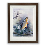leaping brown trout