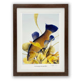 Tench fishing print by M J Pledger