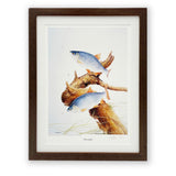 Roach fishing print by M J Pledger