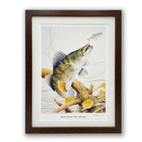 The Zander fishing print by M J Pledger from CountrysideGreetings depicts a zander rising toward a roach near a submerged branch with yellow leaves—a minimalistic artwork, ideal as a fishing gift or limited edition print for nature lovers.