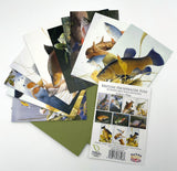 10 illustrated British freshwater fish notecards by M J Pledger from CountrysideGreetings, fanned out on a white surface. The package back displays each card’s image and details the contents of this charming set.