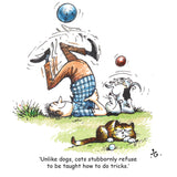 Thelwell Cartoon Cat Greeting Card Multipack from CountrysideGreetings features a witty cat watching a man and dog attempt tricks, printed on sustainable cardstock. Set includes 12 square cards with playful, cat-themed designs.