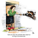 Thelwell Cartoon Cat Greeting Card Multipack by CountrysideGreetings features a fun scene of a cat clinging to a broomstick, perfect for fans of quirky cat designs. Set includes 12 square cards.